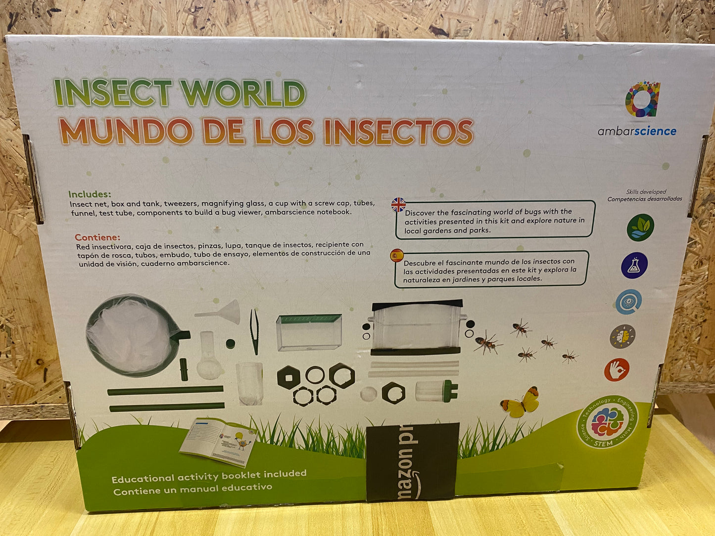 Insect world